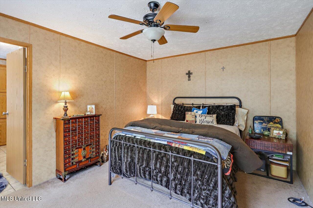 126 Haynes Chapel Road, Pelahatchie, Mississippi image 15