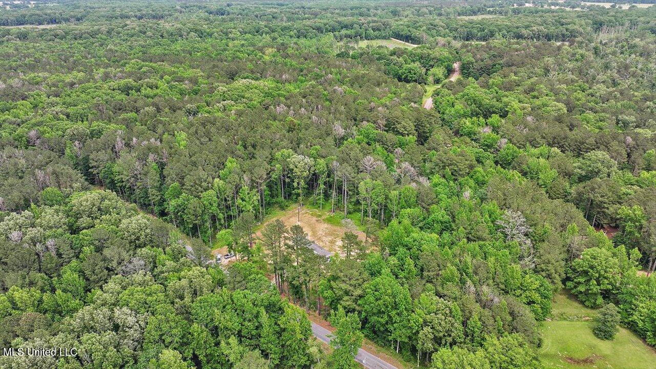 126 Haynes Chapel Road, Pelahatchie, Mississippi image 34