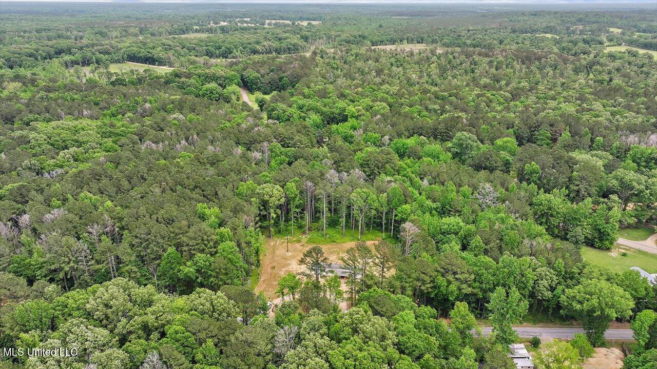 126 Haynes Chapel Road, Pelahatchie, Mississippi image 35