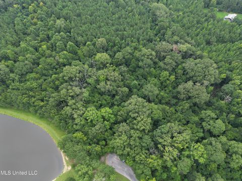 Vacant Land For Sale - Pine Lake<br/> Terry, MS 39170