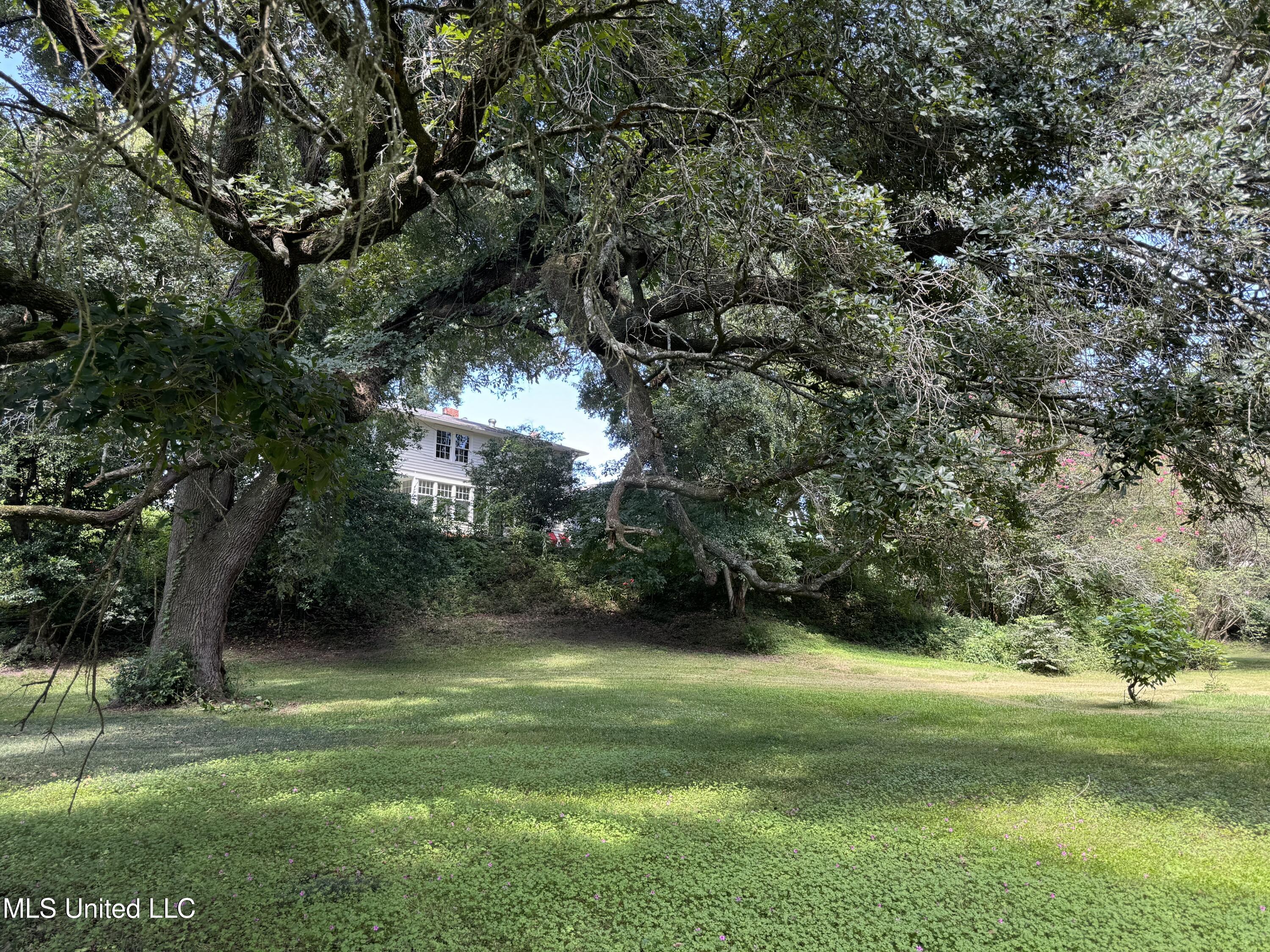 912 Main Street, Natchez, Mississippi image 6