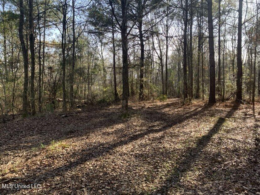 0000 Dry Creek Road, Mendenhall, Mississippi image 12