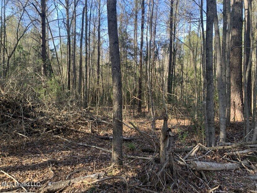0000 Dry Creek Road, Mendenhall, Mississippi image 14
