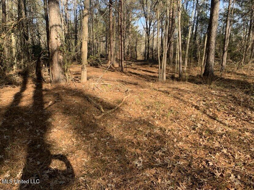 0000 Dry Creek Road, Mendenhall, Mississippi image 22