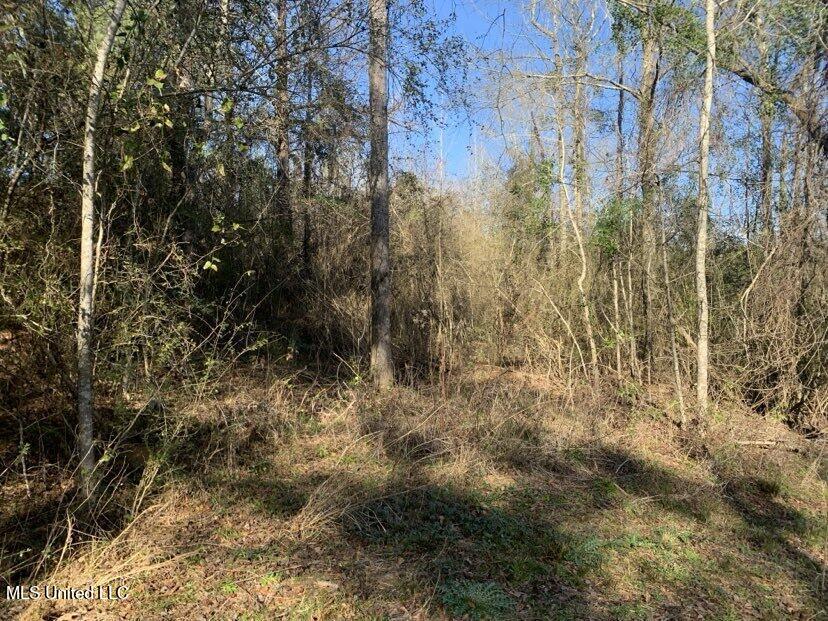 0000 Dry Creek Road, Mendenhall, Mississippi image 38