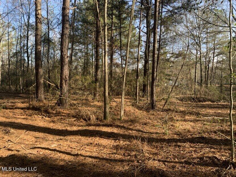 0000 Dry Creek Road, Mendenhall, Mississippi image 19