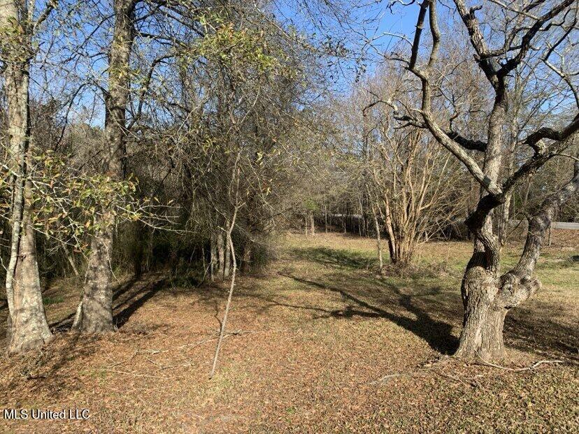 0000 Dry Creek Road, Mendenhall, Mississippi image 31