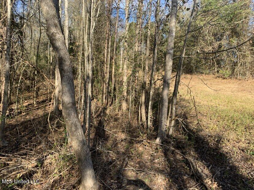 0000 Dry Creek Road, Mendenhall, Mississippi image 7