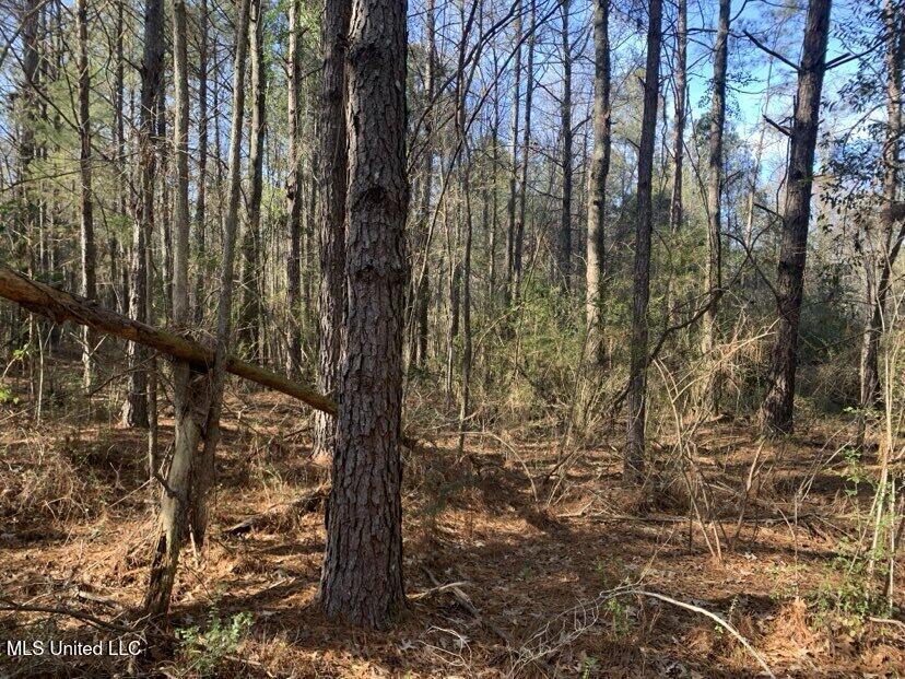 0000 Dry Creek Road, Mendenhall, Mississippi image 23