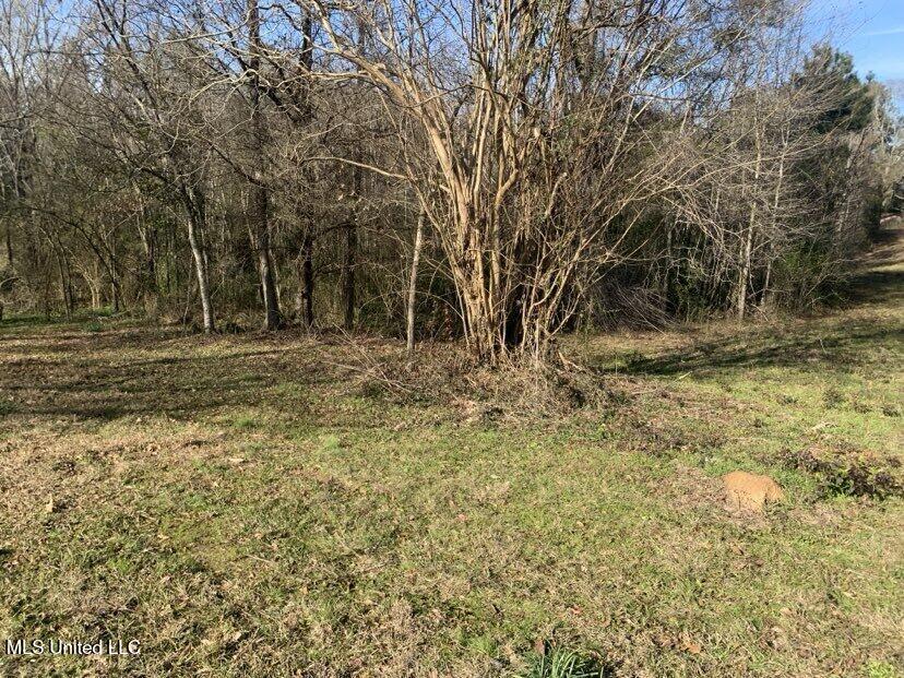 0000 Dry Creek Road, Mendenhall, Mississippi image 30