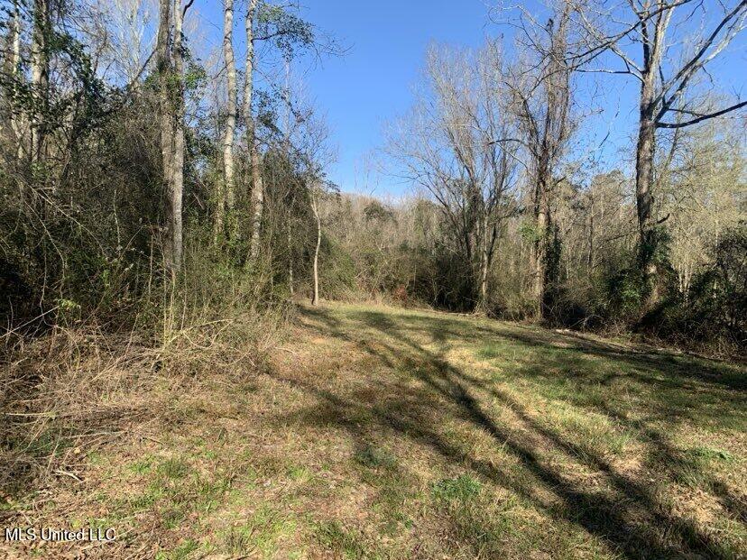 0000 Dry Creek Road, Mendenhall, Mississippi image 36