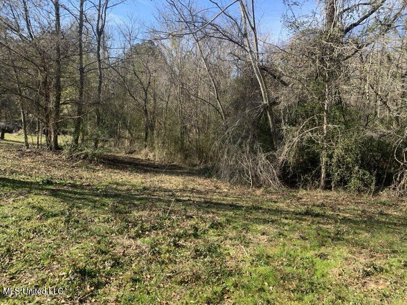 0000 Dry Creek Road, Mendenhall, Mississippi image 6
