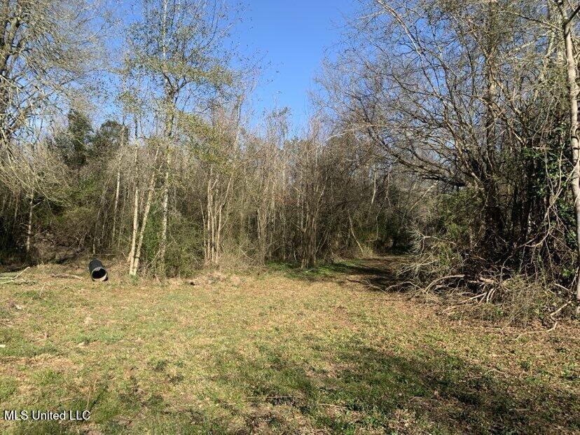 0000 Dry Creek Road, Mendenhall, Mississippi image 34