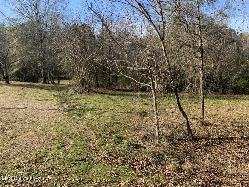 0000 Dry Creek Road, Mendenhall, Mississippi image 25