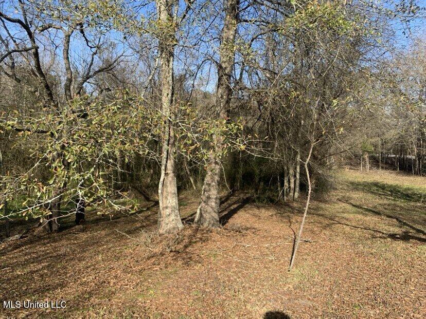 0000 Dry Creek Road, Mendenhall, Mississippi image 32