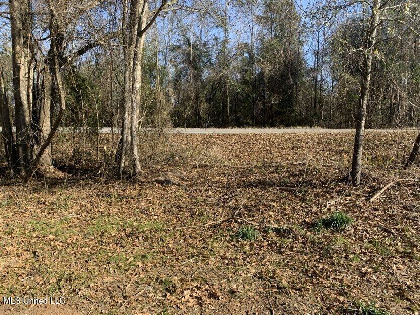 0000 Dry Creek Road, Mendenhall, Mississippi image 4