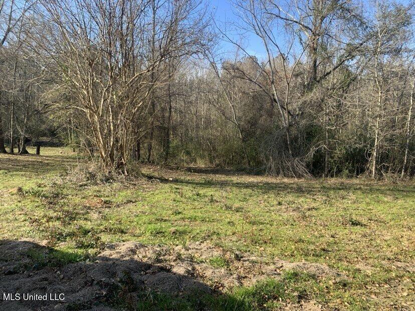 0000 Dry Creek Road, Mendenhall, Mississippi image 29