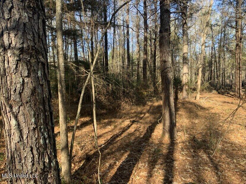 0000 Dry Creek Road, Mendenhall, Mississippi image 24