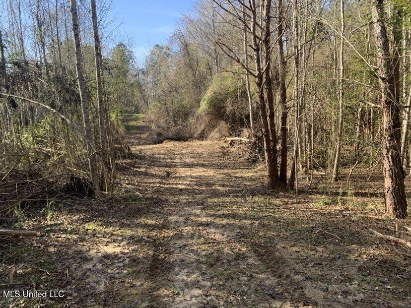 0000 Dry Creek Road, Mendenhall, Mississippi image 8