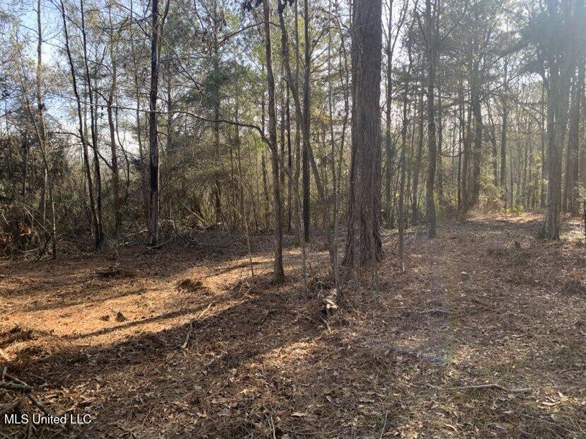0000 Dry Creek Road, Mendenhall, Mississippi image 10