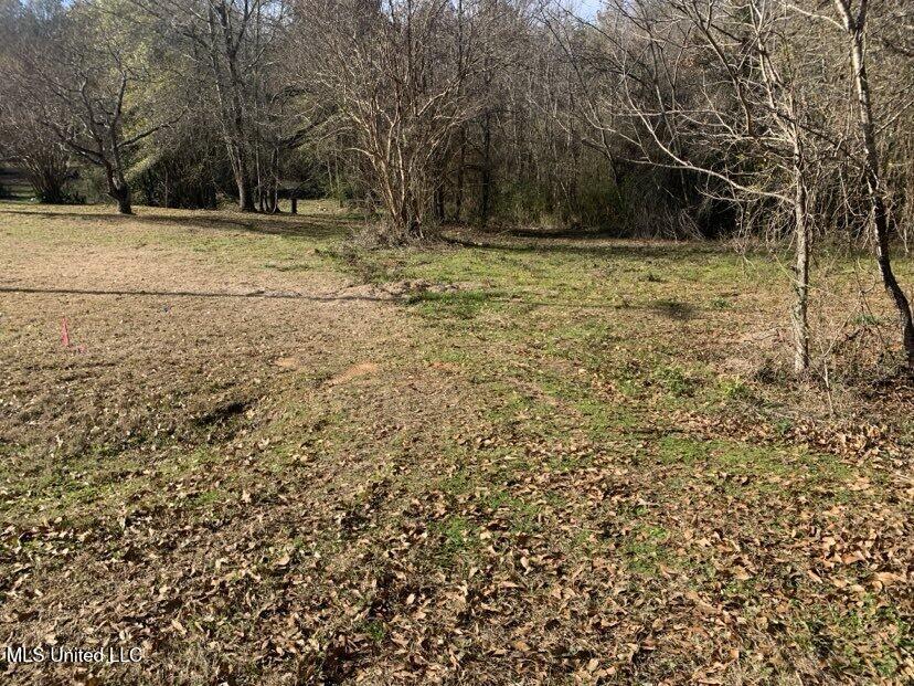0000 Dry Creek Road, Mendenhall, Mississippi image 26