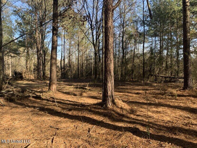 0000 Dry Creek Road, Mendenhall, Mississippi image 16