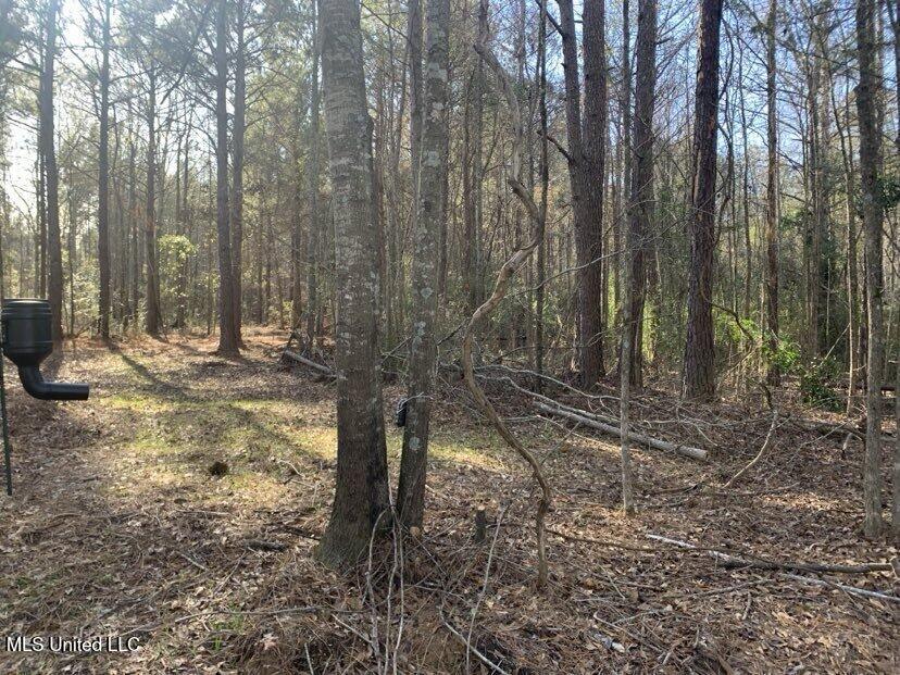 0000 Dry Creek Road, Mendenhall, Mississippi image 11