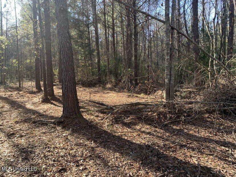 0000 Dry Creek Road, Mendenhall, Mississippi image 13