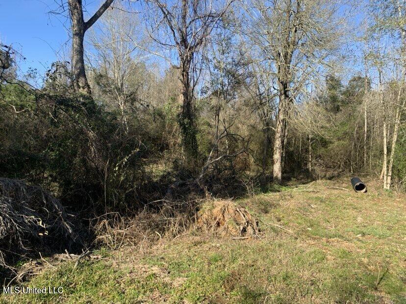 0000 Dry Creek Road, Mendenhall, Mississippi image 35