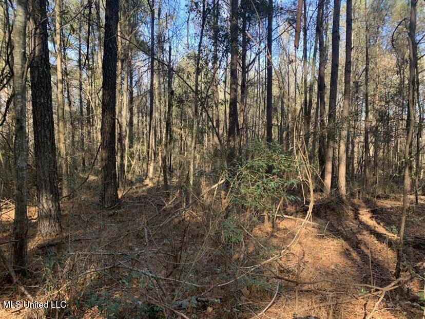 0000 Dry Creek Road, Mendenhall, Mississippi image 42