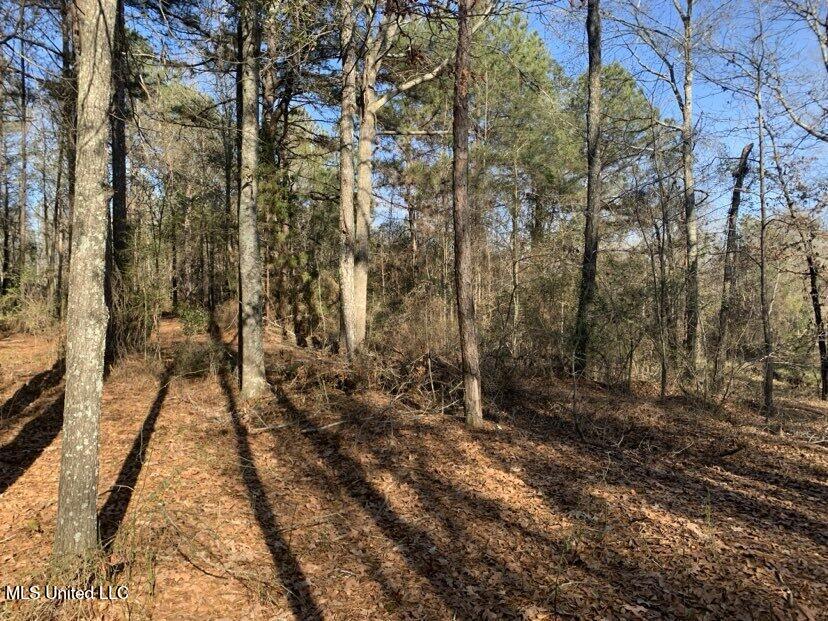 0000 Dry Creek Road, Mendenhall, Mississippi image 37