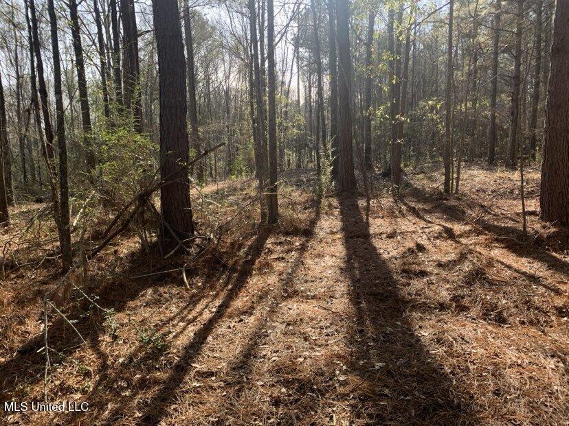 0000 Dry Creek Road, Mendenhall, Mississippi image 15