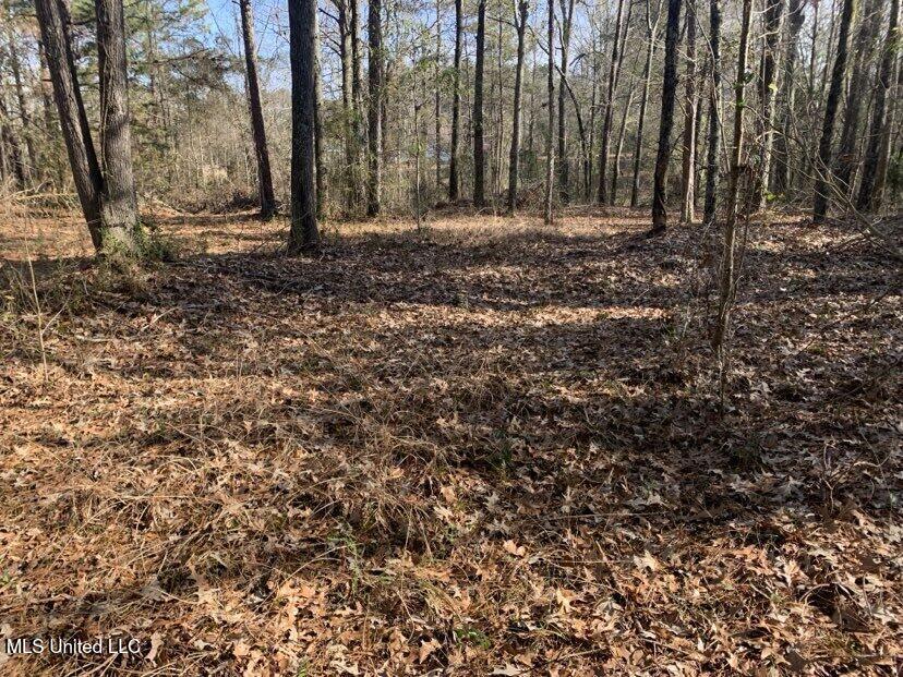 0000 Dry Creek Road, Mendenhall, Mississippi image 20