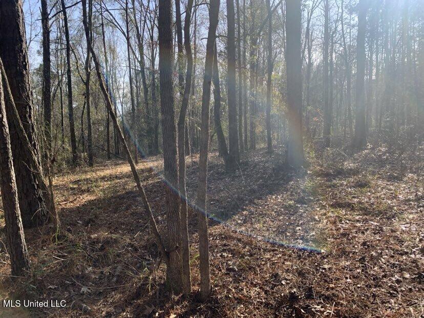 0000 Dry Creek Road, Mendenhall, Mississippi image 17