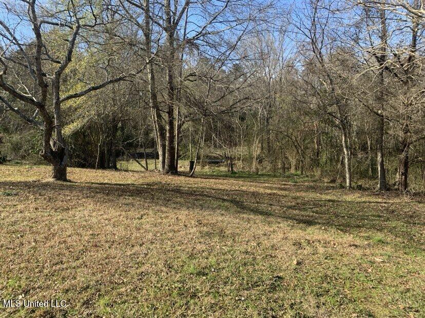 0000 Dry Creek Road, Mendenhall, Mississippi image 3