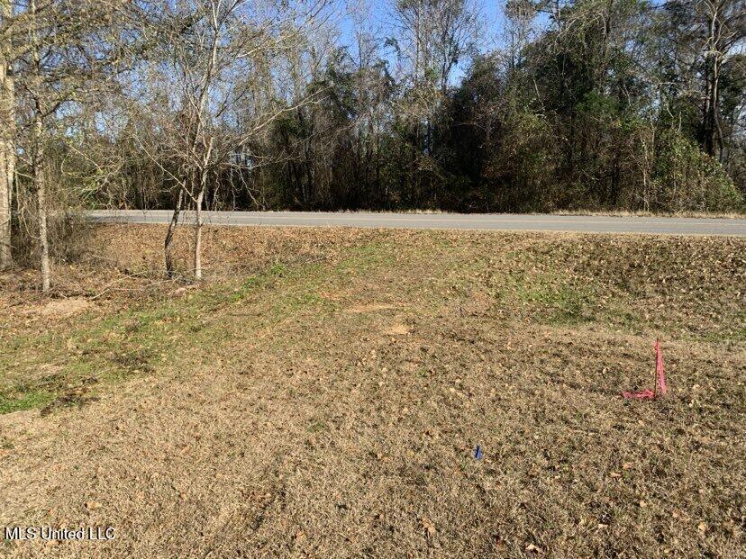 0000 Dry Creek Road, Mendenhall, Mississippi image 27