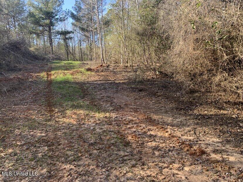 0000 Dry Creek Road, Mendenhall, Mississippi image 9