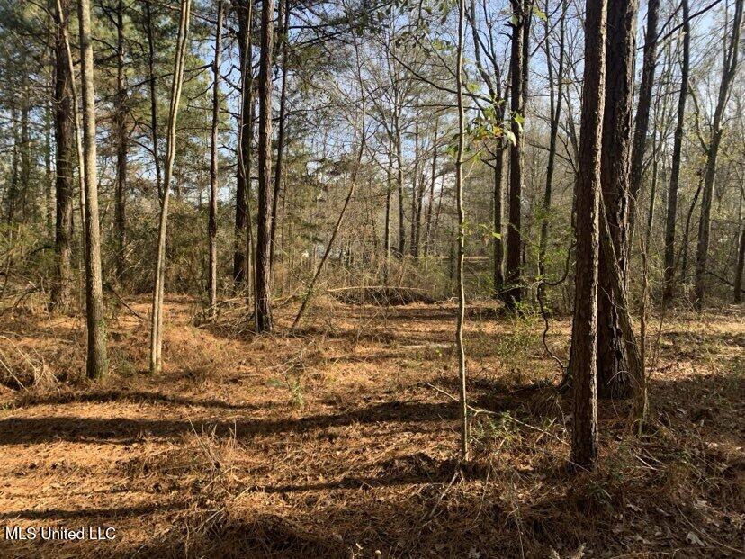 0000 Dry Creek Road, Mendenhall, Mississippi image 18