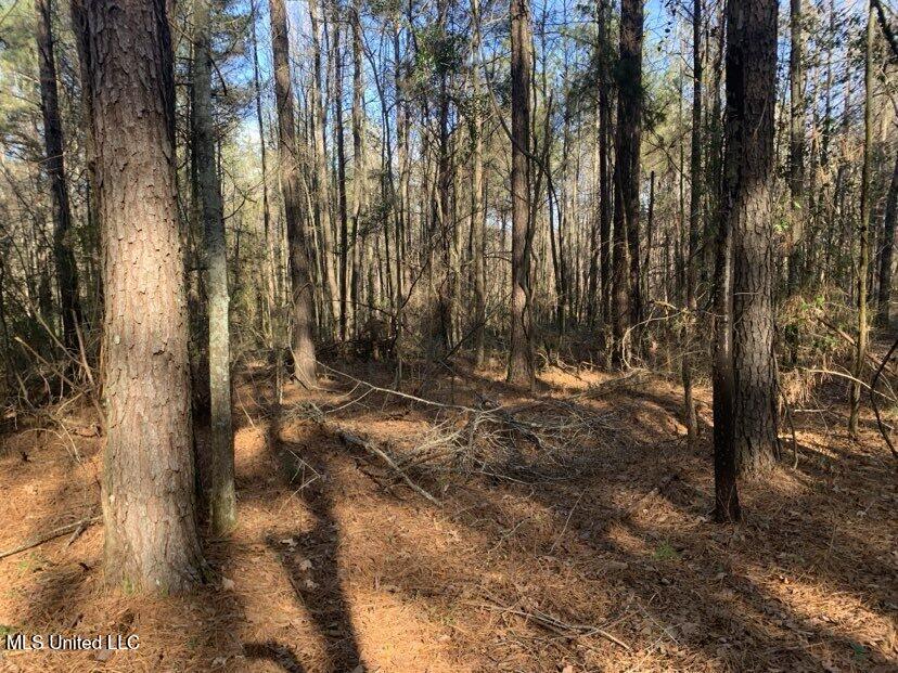0000 Dry Creek Road, Mendenhall, Mississippi image 41