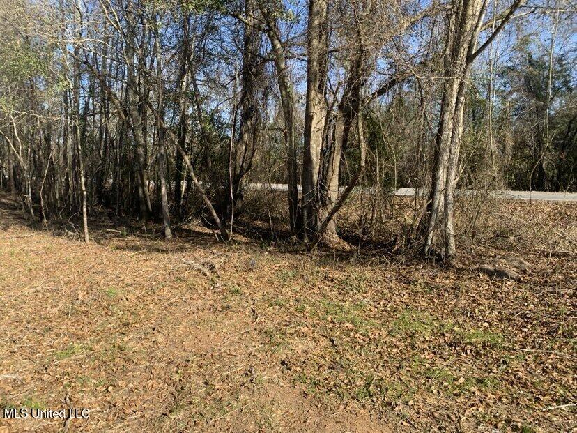 0000 Dry Creek Road, Mendenhall, Mississippi image 5