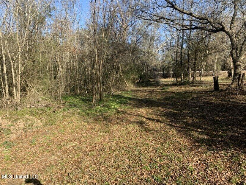 0000 Dry Creek Road, Mendenhall, Mississippi image 33