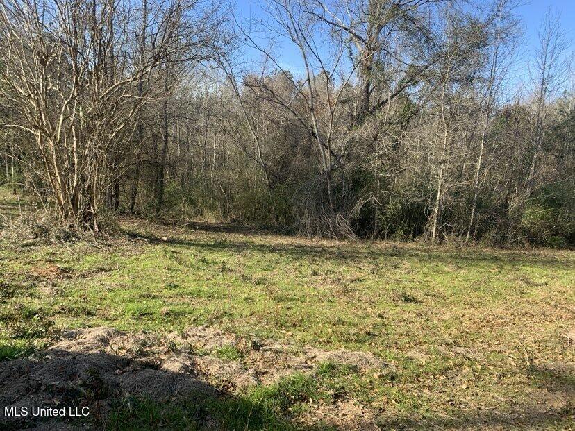 0000 Dry Creek Road, Mendenhall, Mississippi image 28