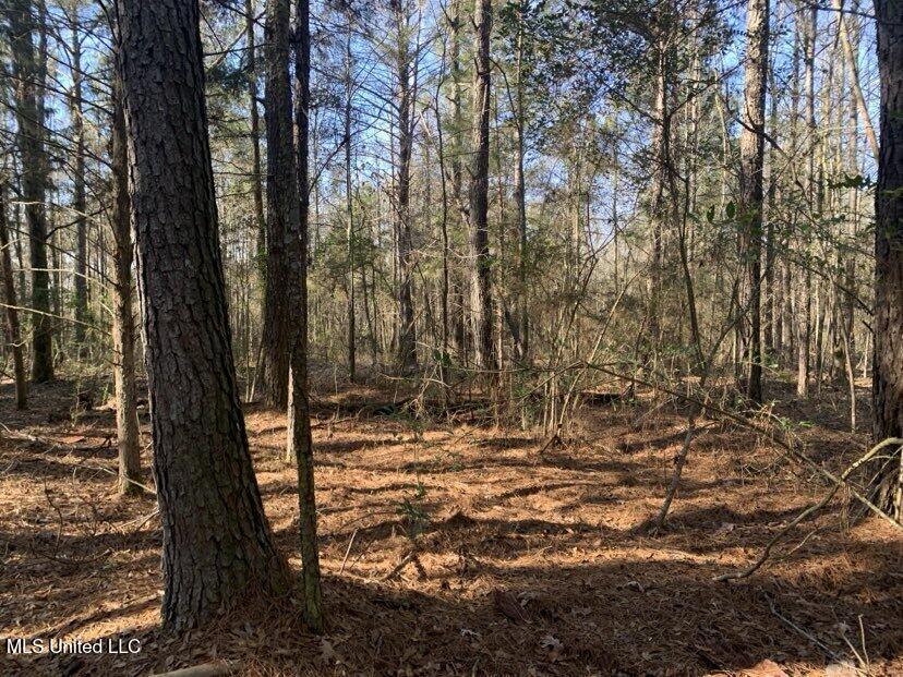 0000 Dry Creek Road, Mendenhall, Mississippi image 40