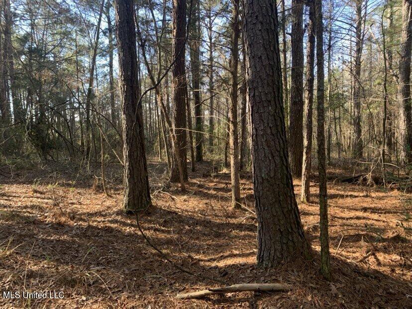 0000 Dry Creek Road, Mendenhall, Mississippi image 39