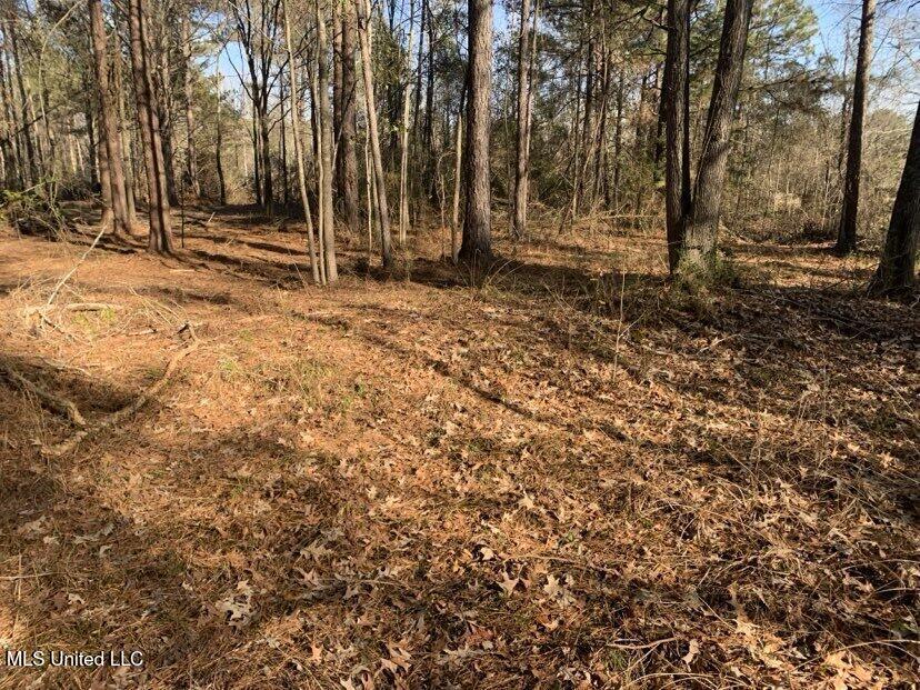 0000 Dry Creek Road, Mendenhall, Mississippi image 21