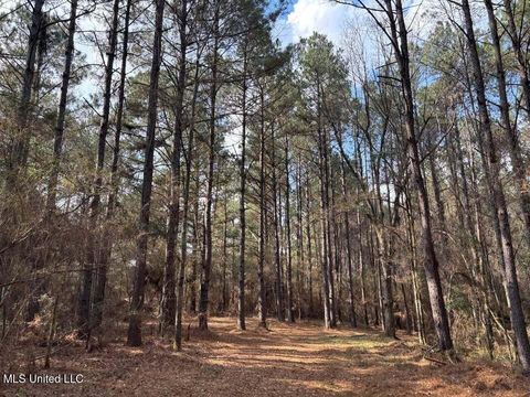 Vacant Land For Sale - 48135 Louisiana 438<br/> Franklinton, LA 70438