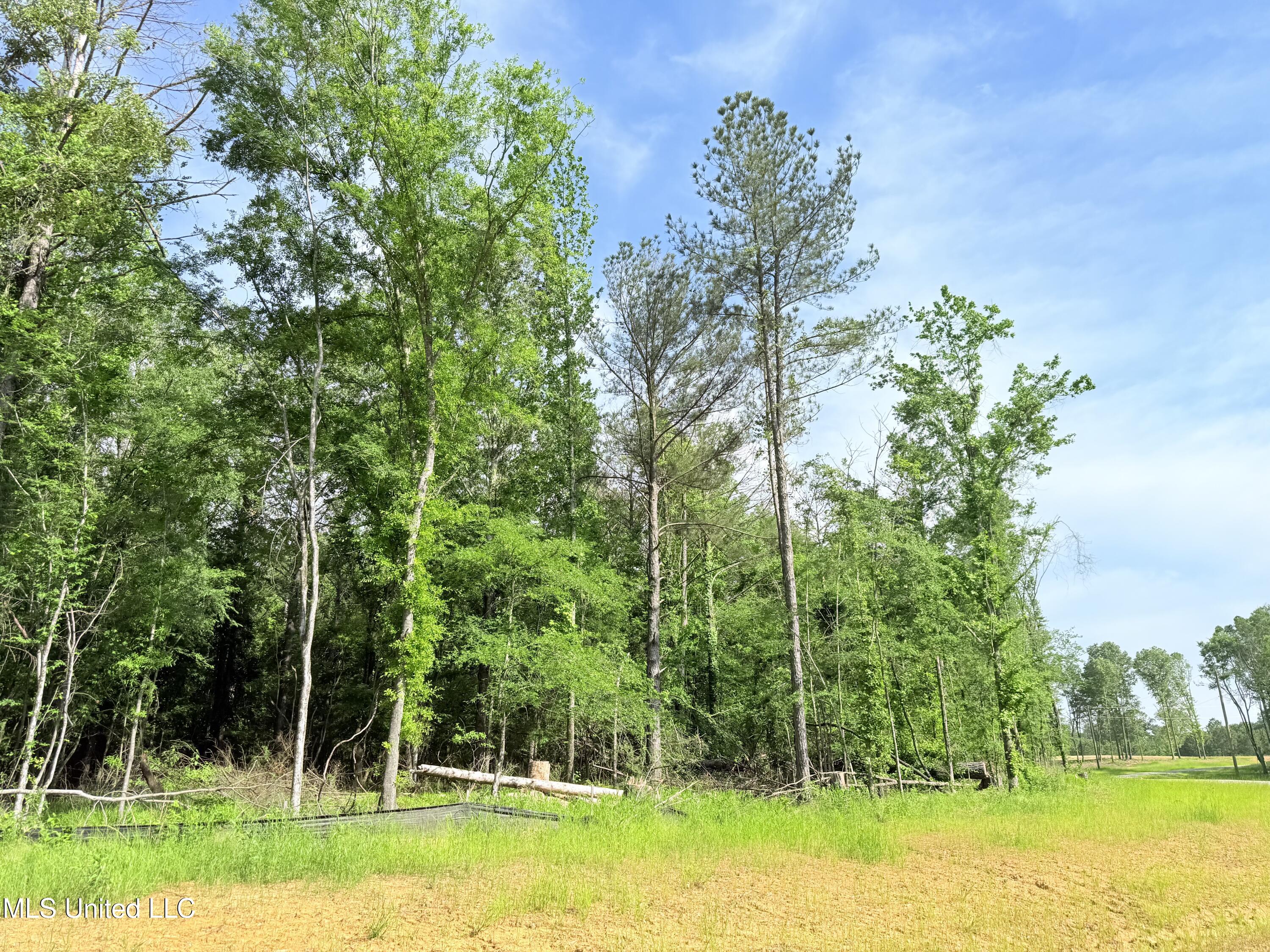 Stout Meadows Lane, Madison, Mississippi image 9