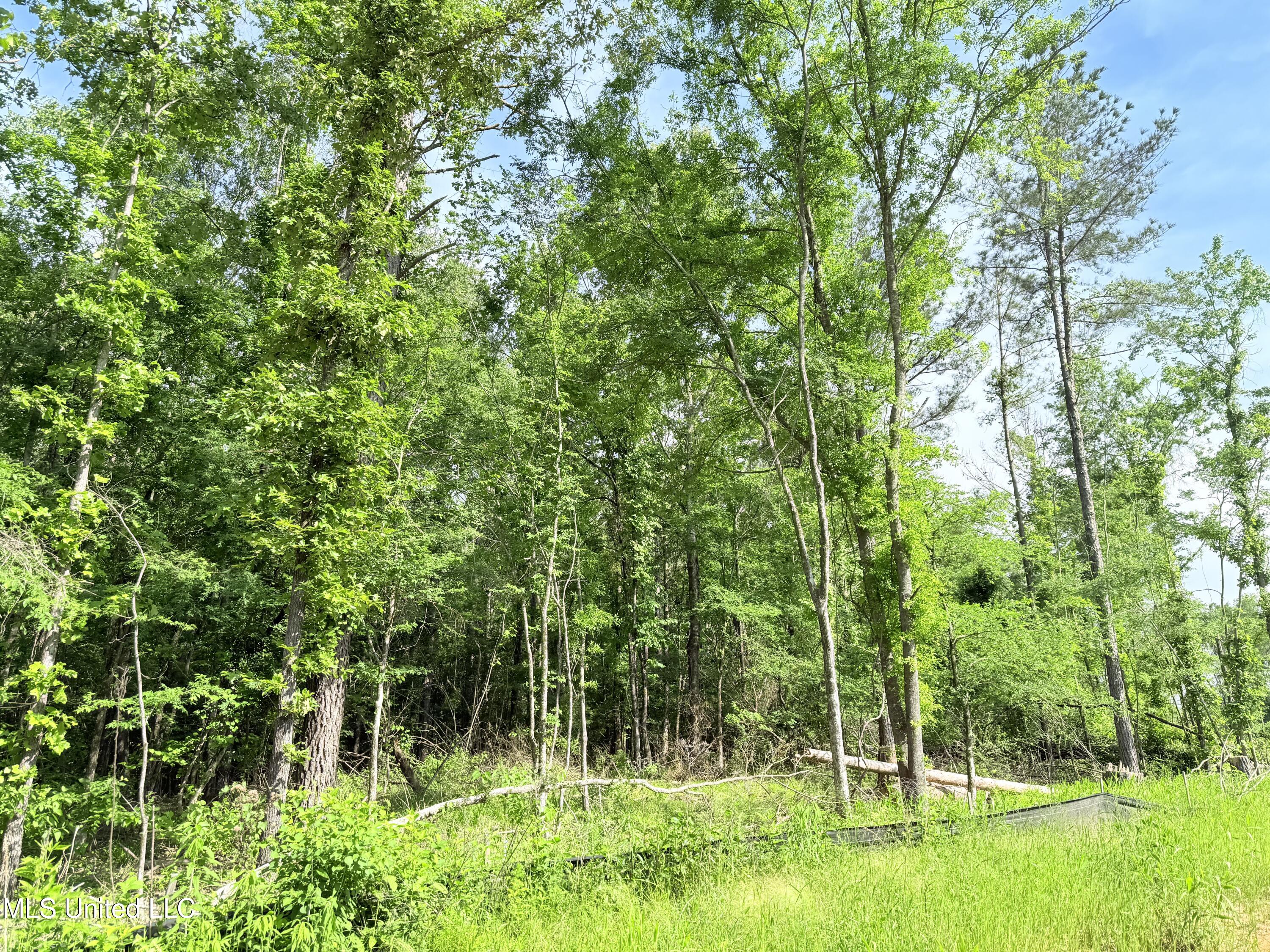 Stout Meadows Lane, Madison, Mississippi image 7
