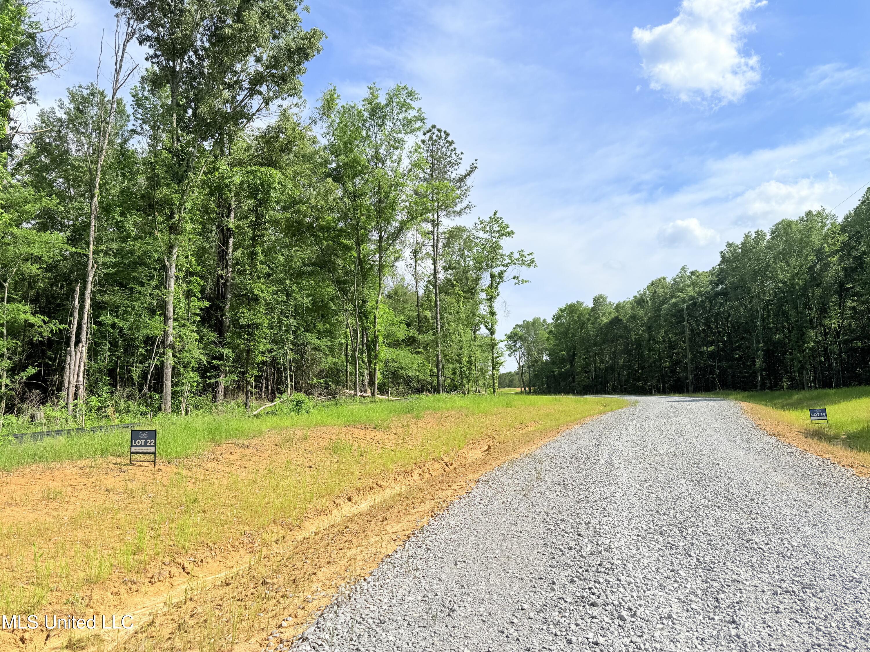 Stout Meadows Lane, Madison, Mississippi image 3