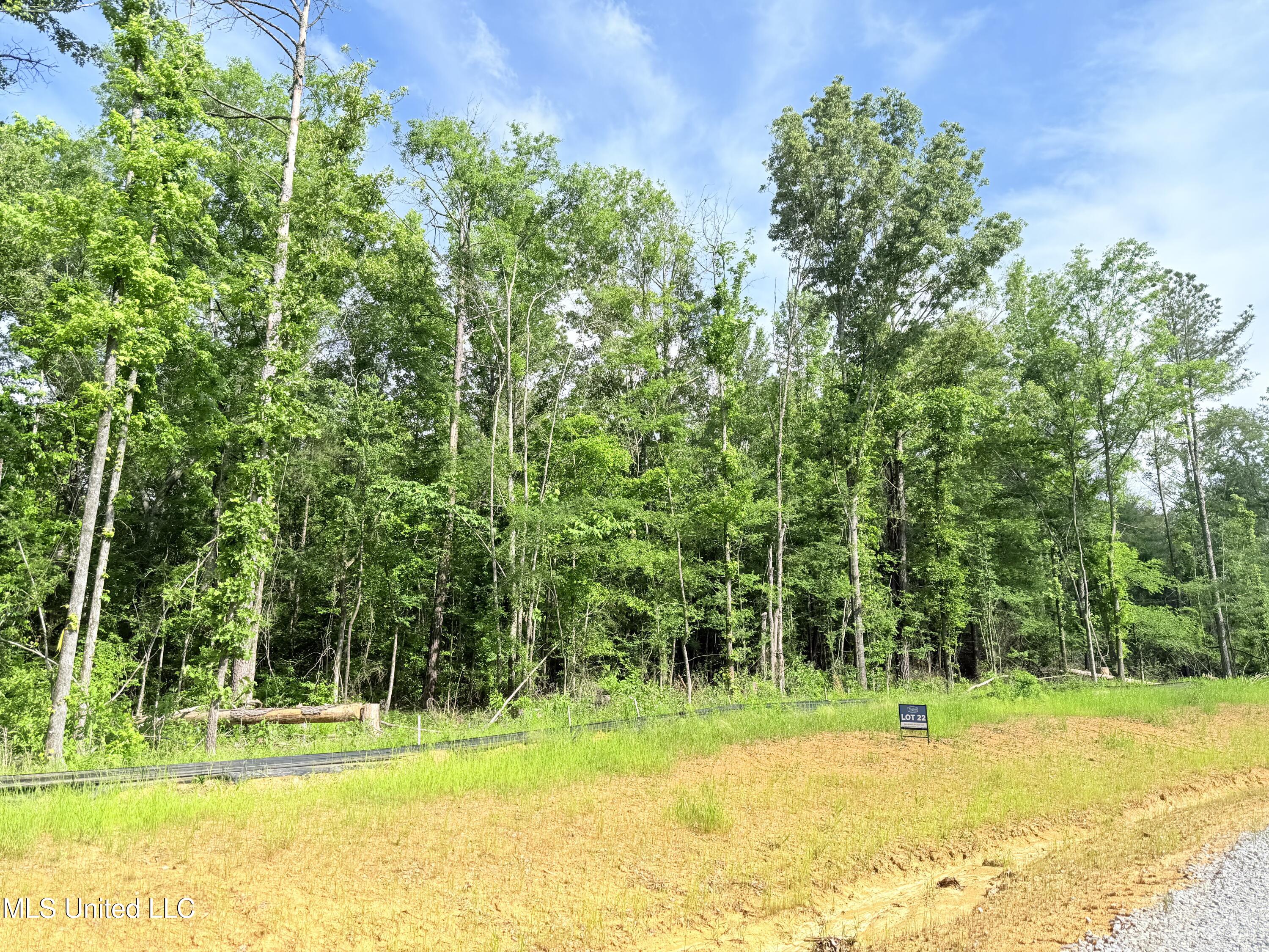 Stout Meadows Lane, Madison, Mississippi image 4